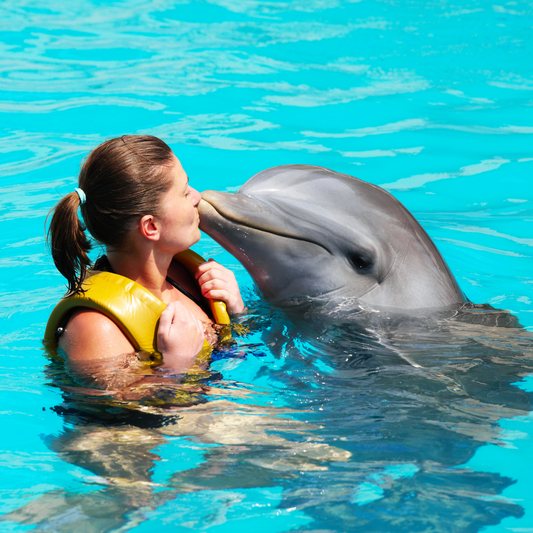swimming with dolphin kiss