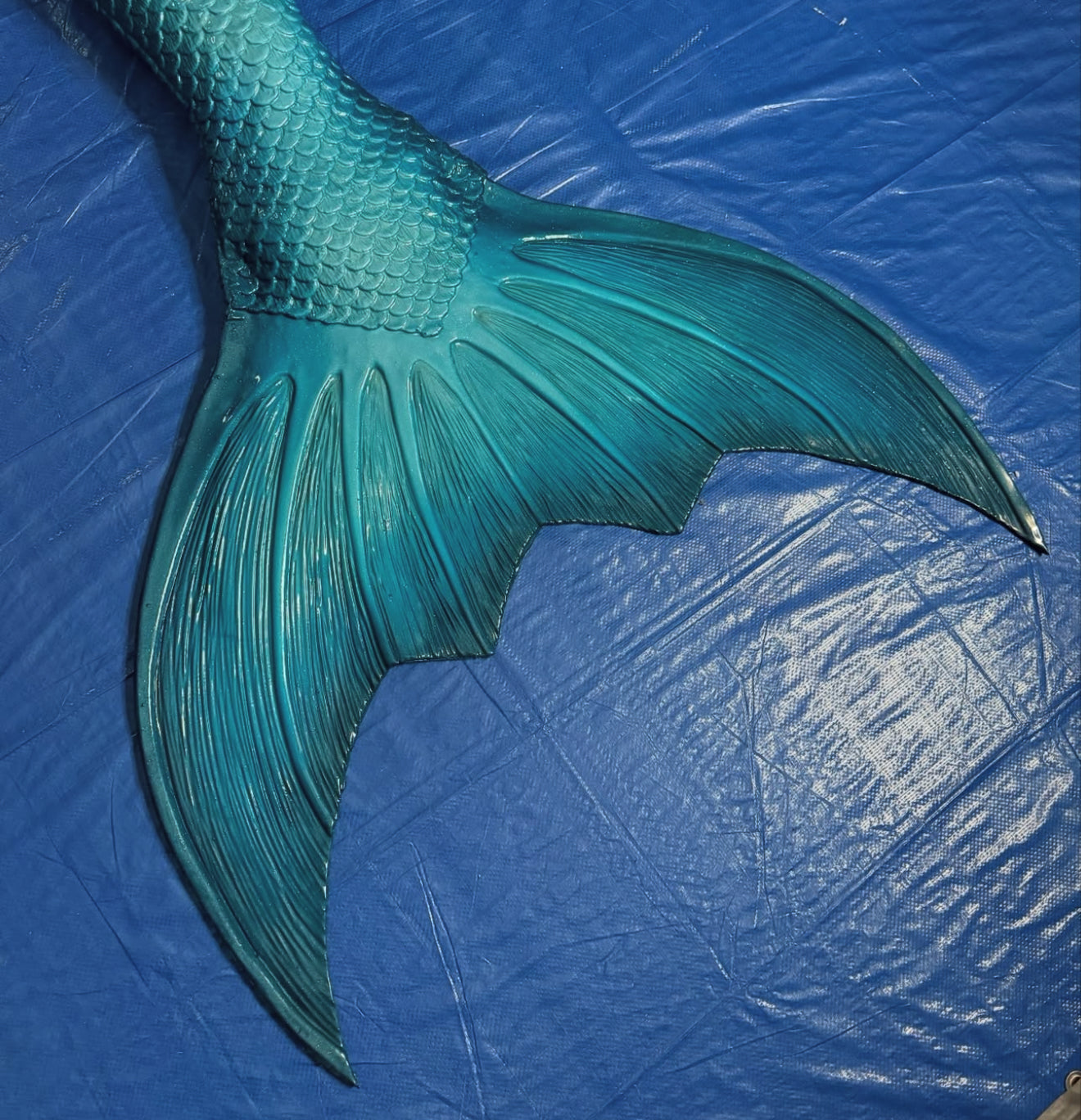Triton fluke shape